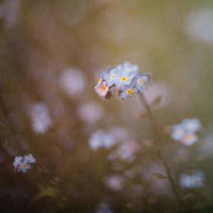 Mini Guide - How To Cope With Panic Attacks